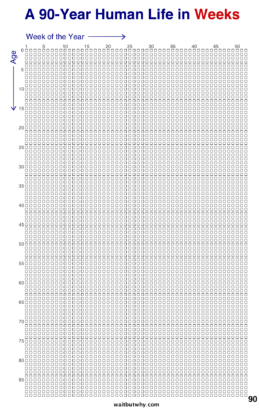 Counting The Days - How many weeks are in a life? - Lifespan Research ...