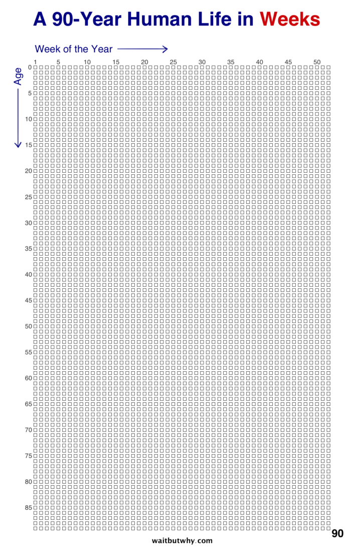 counting-the-days-how-many-weeks-are-in-a-life-lifespan-research